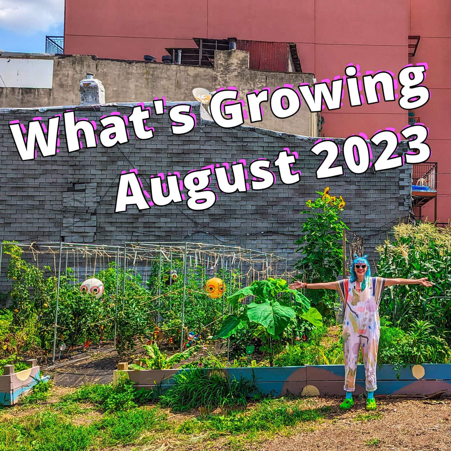 NYC Gardens Flourish: Enjoying Shishitos, Edamame & August Corn